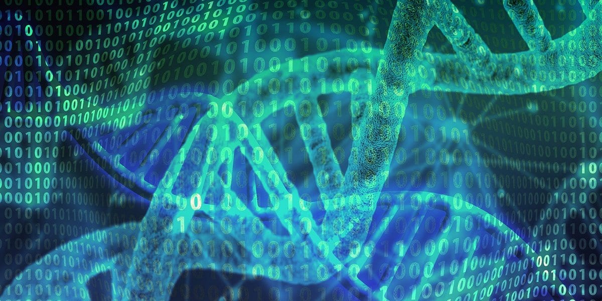 ¿Qué son las computadoras biológicas?